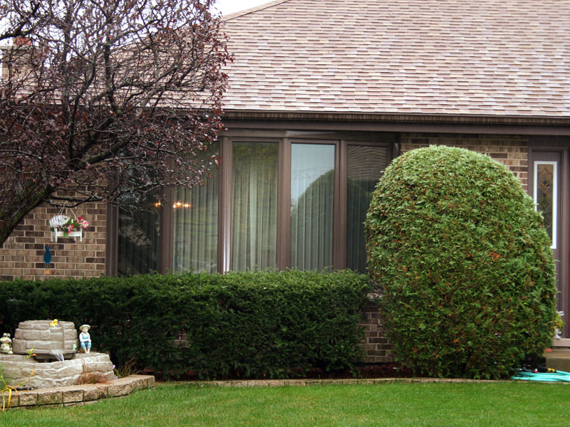 Bay Window Exterior